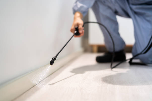 Licensed Pest Control service in Marquette, MI - Show Me Pest Control