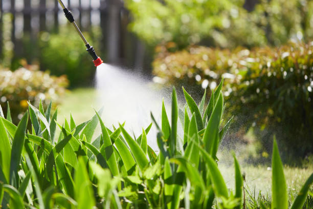24/7 Emergency Wasp Removal experts in Marquette, MI