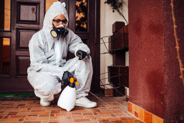 Reliable Wasp Removal contractor in Marquette, MI by Show Me Pest Control